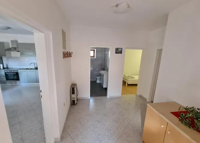 Dom wakacyjny Nena Drniš